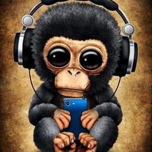 Meet your Posher, Karloz